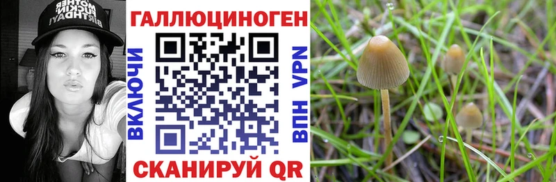 Псилоцибиновые грибы Psilocybe купить наркотик Протвино